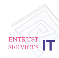 ecommerce development ecommerce development